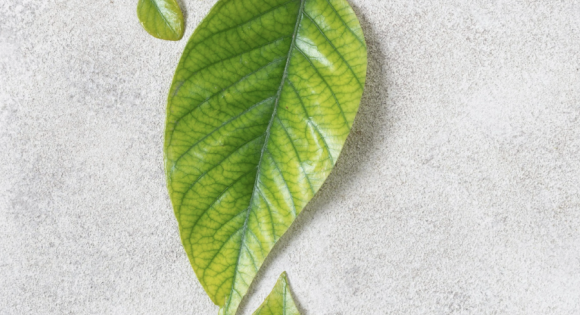 CLEAN SPACES, SMALLER FOOTPRINTS